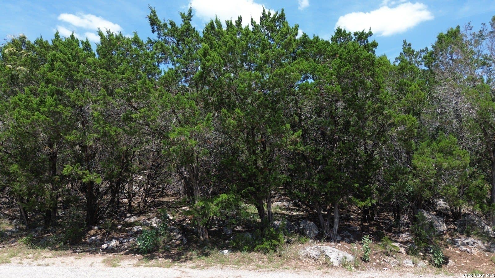 0.18 acres in Comal County gallery image 4