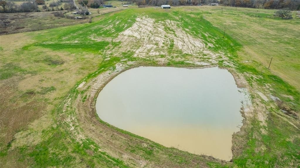 81.47 acres in Rains County gallery image 3