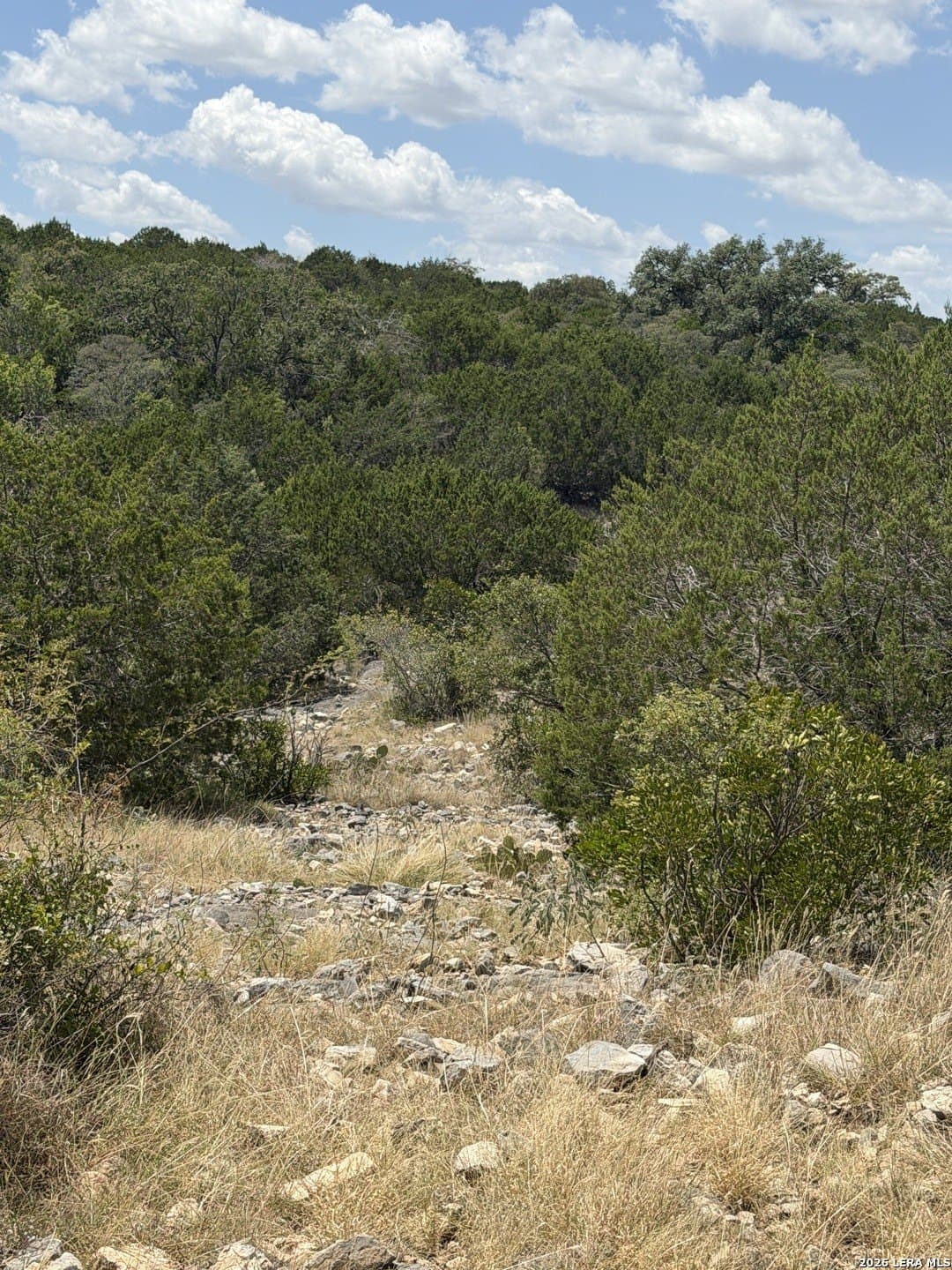 183.85 acres in Edwards County - photo 26