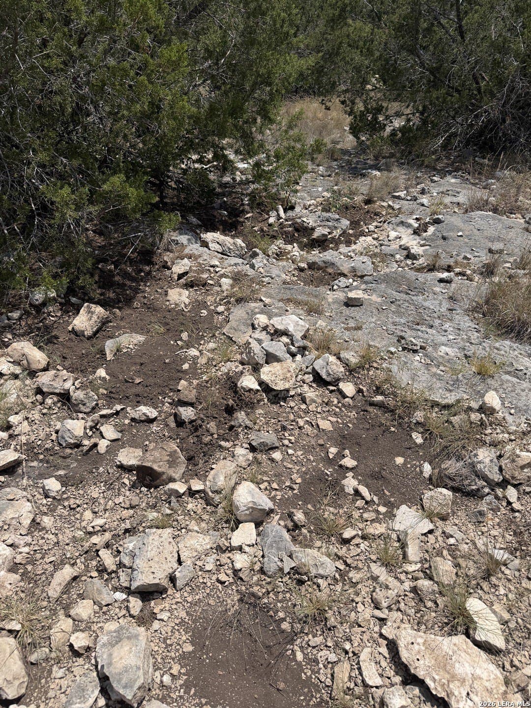 183.85 acres in Edwards County - photo 29