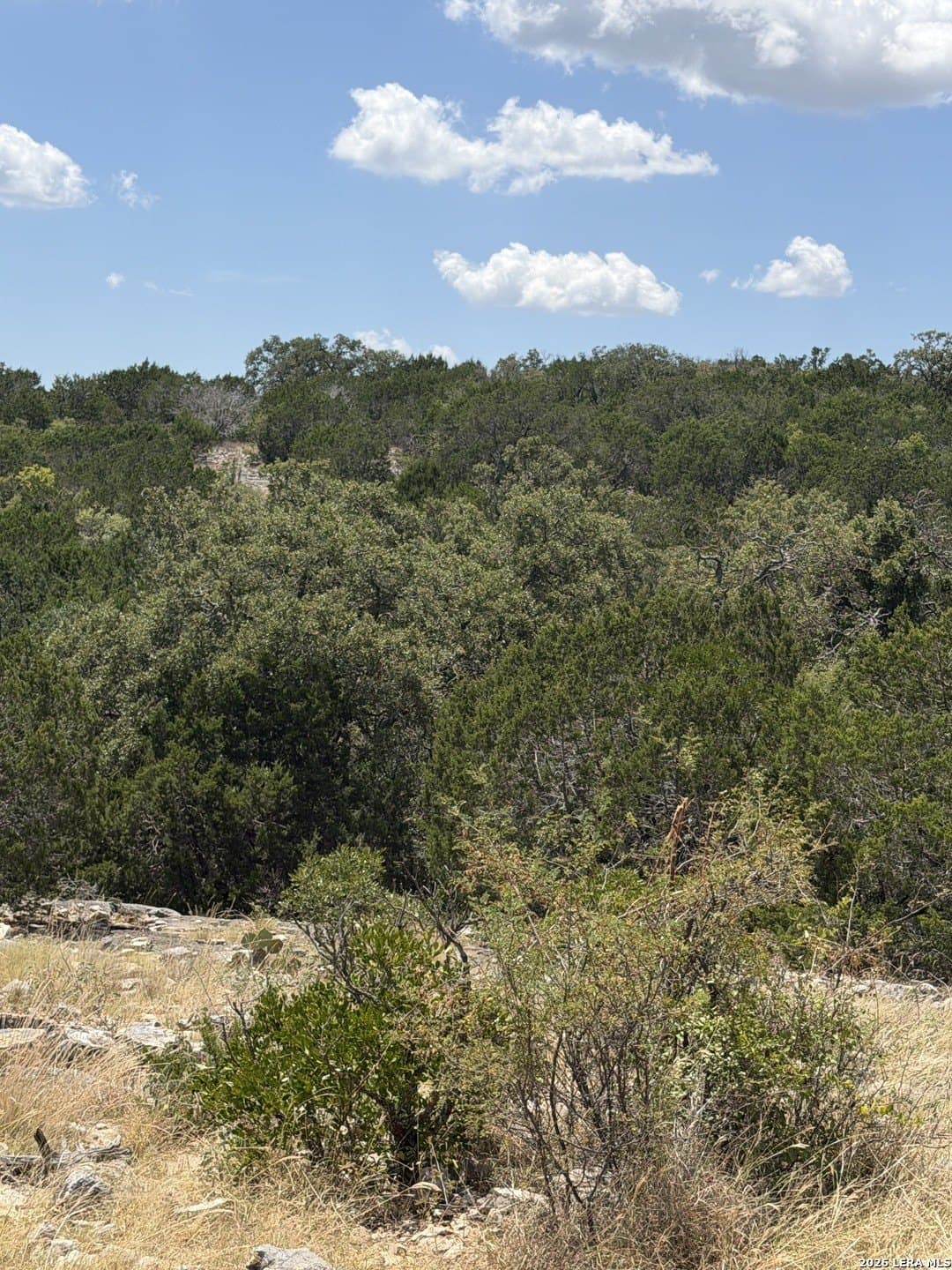 183.85 acres in Edwards County - photo 25