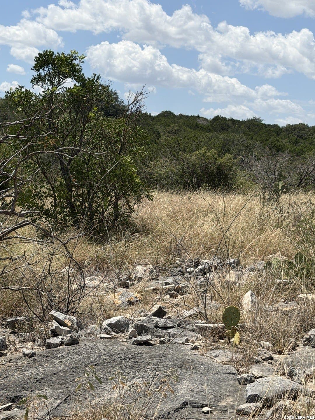 183.85 acres in Edwards County - photo 22