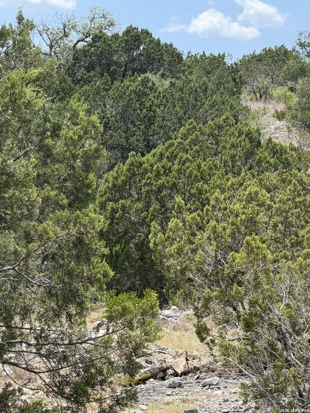 183.85 acres in Edwards County - photo 30