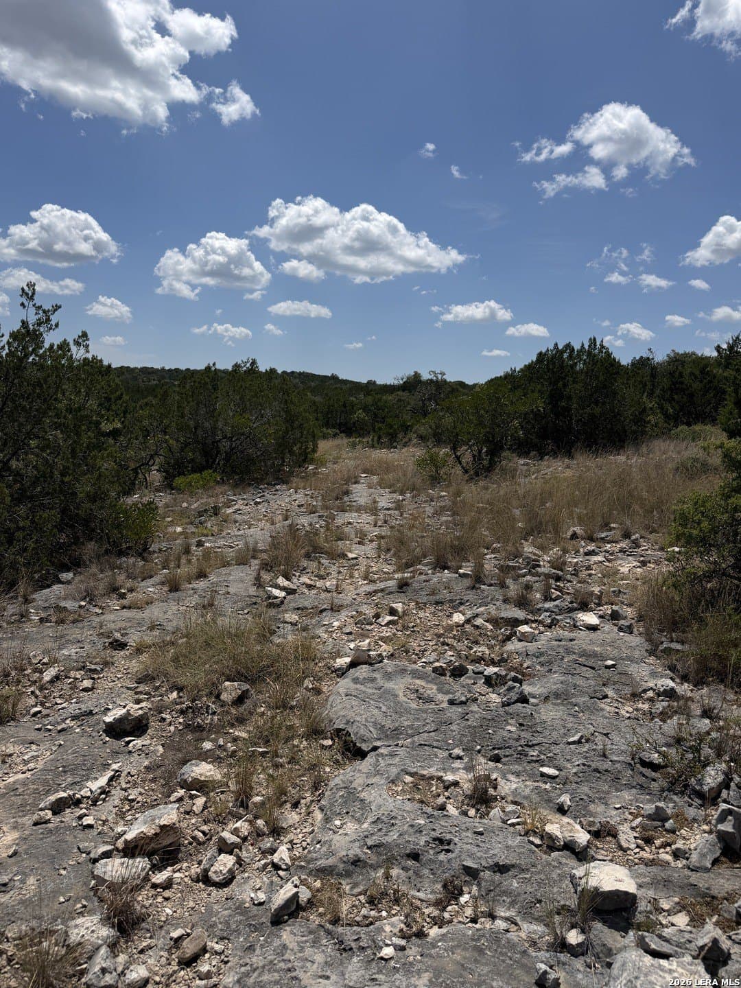 183.85 acres in Edwards County - photo 28