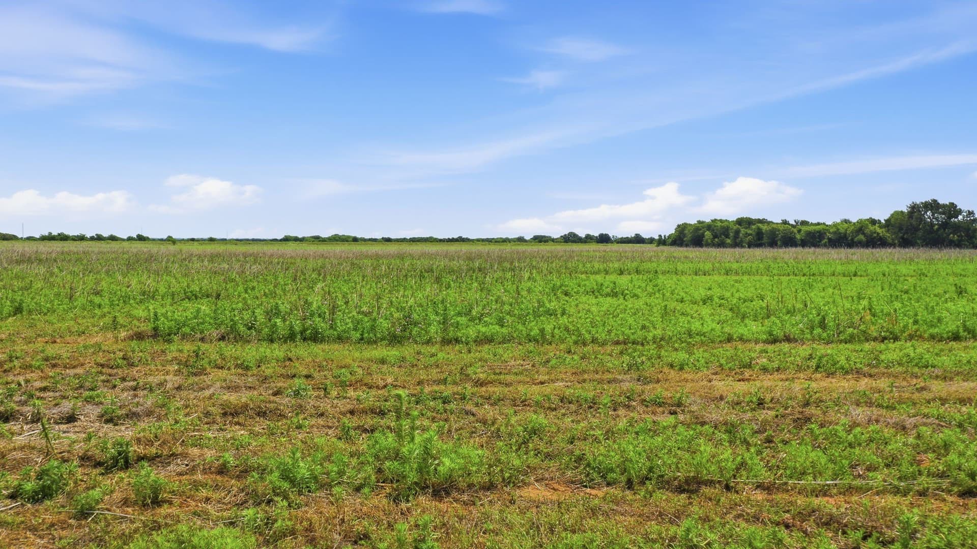 119.19 acres in Comanche County - photo 16