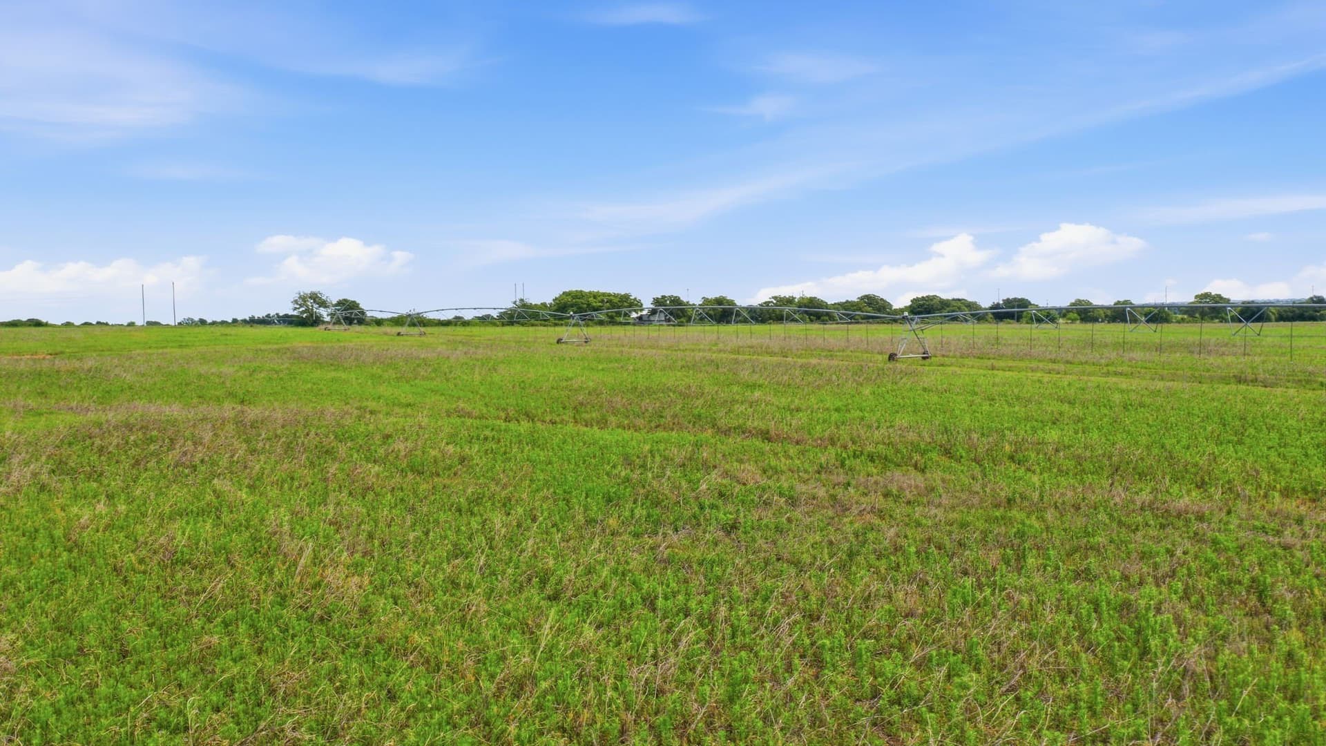 119.19 acres in Comanche County - photo 13