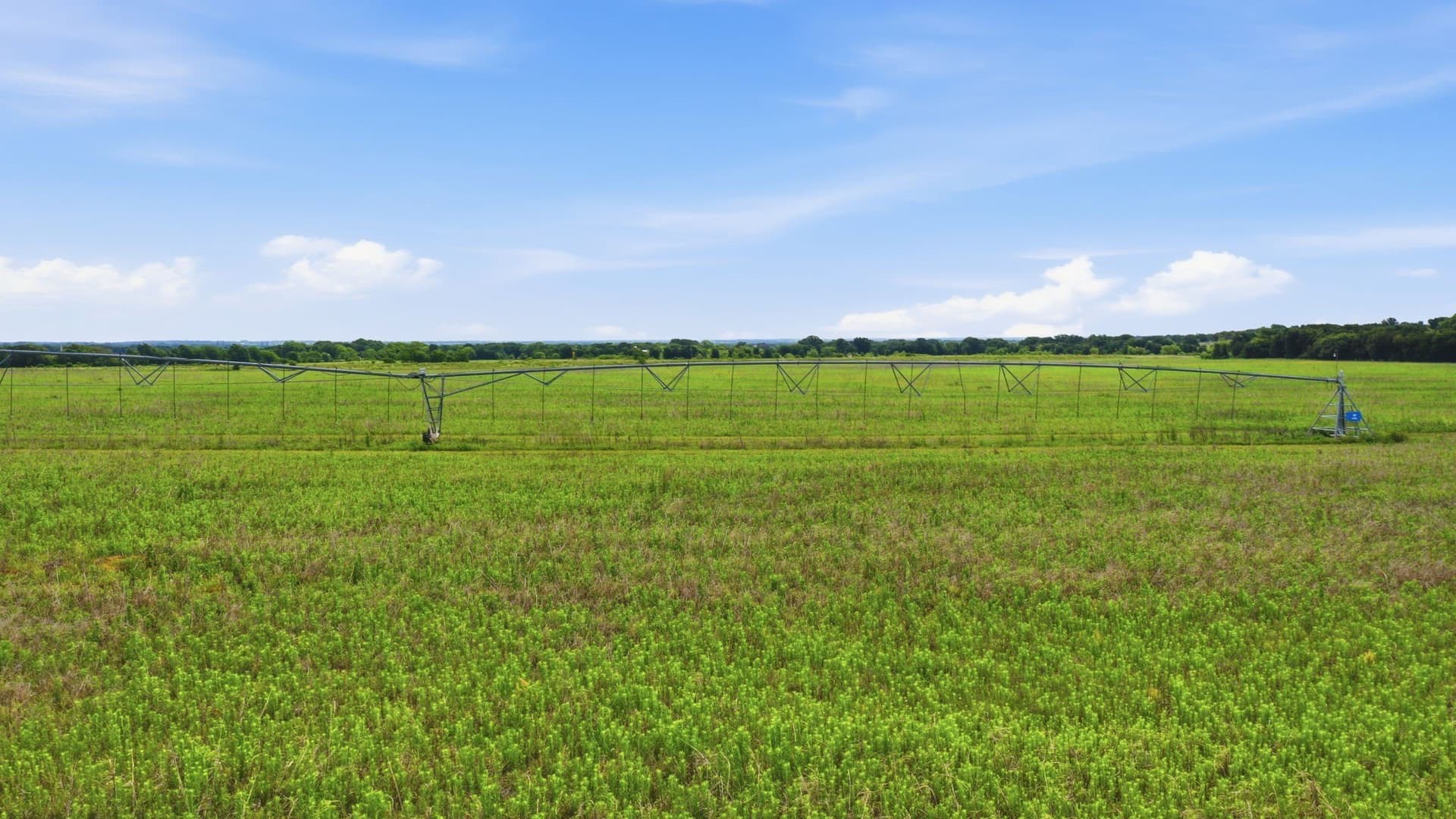 119.19 acres in Comanche County - photo 12