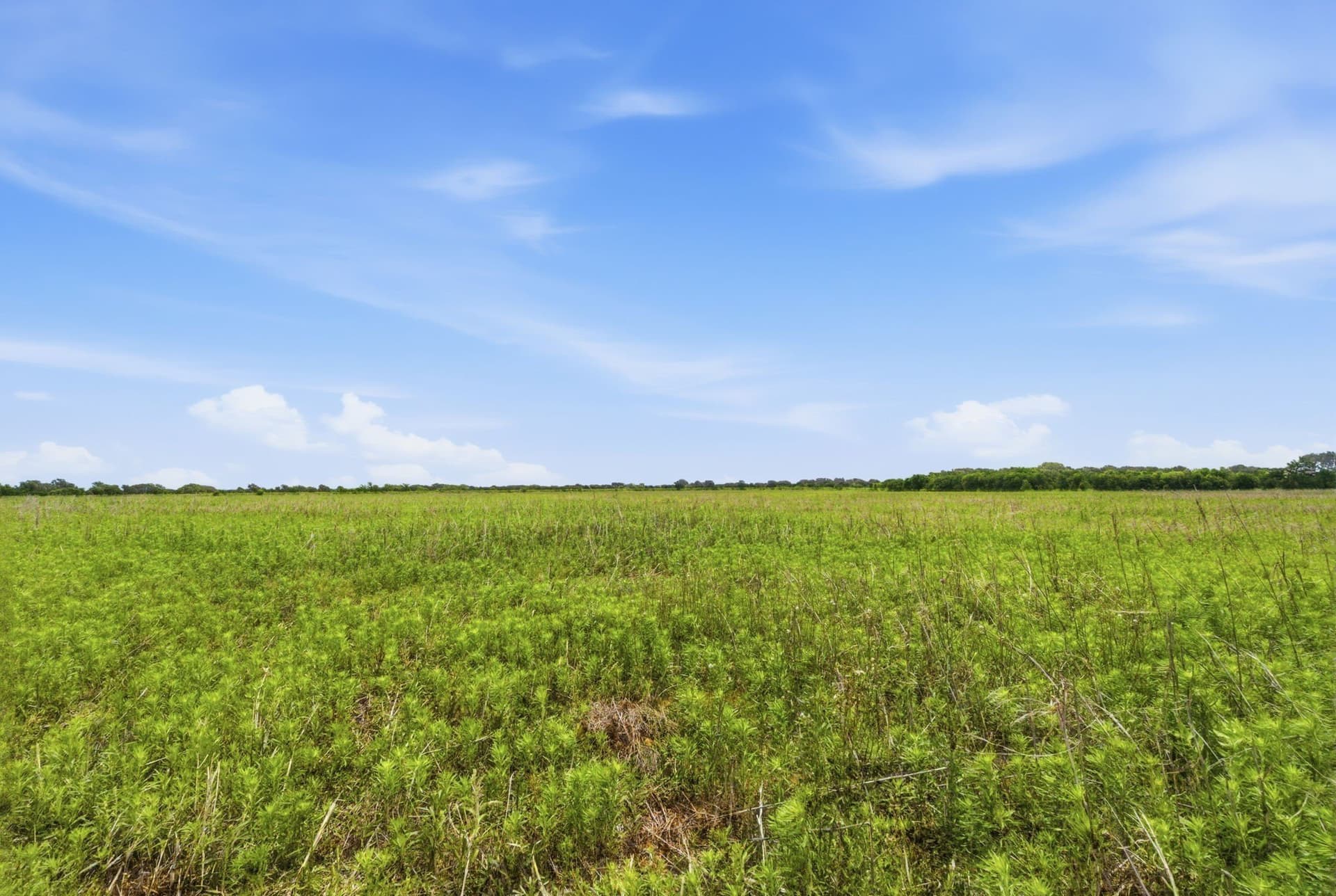 119.19 acres in Comanche County - photo 31