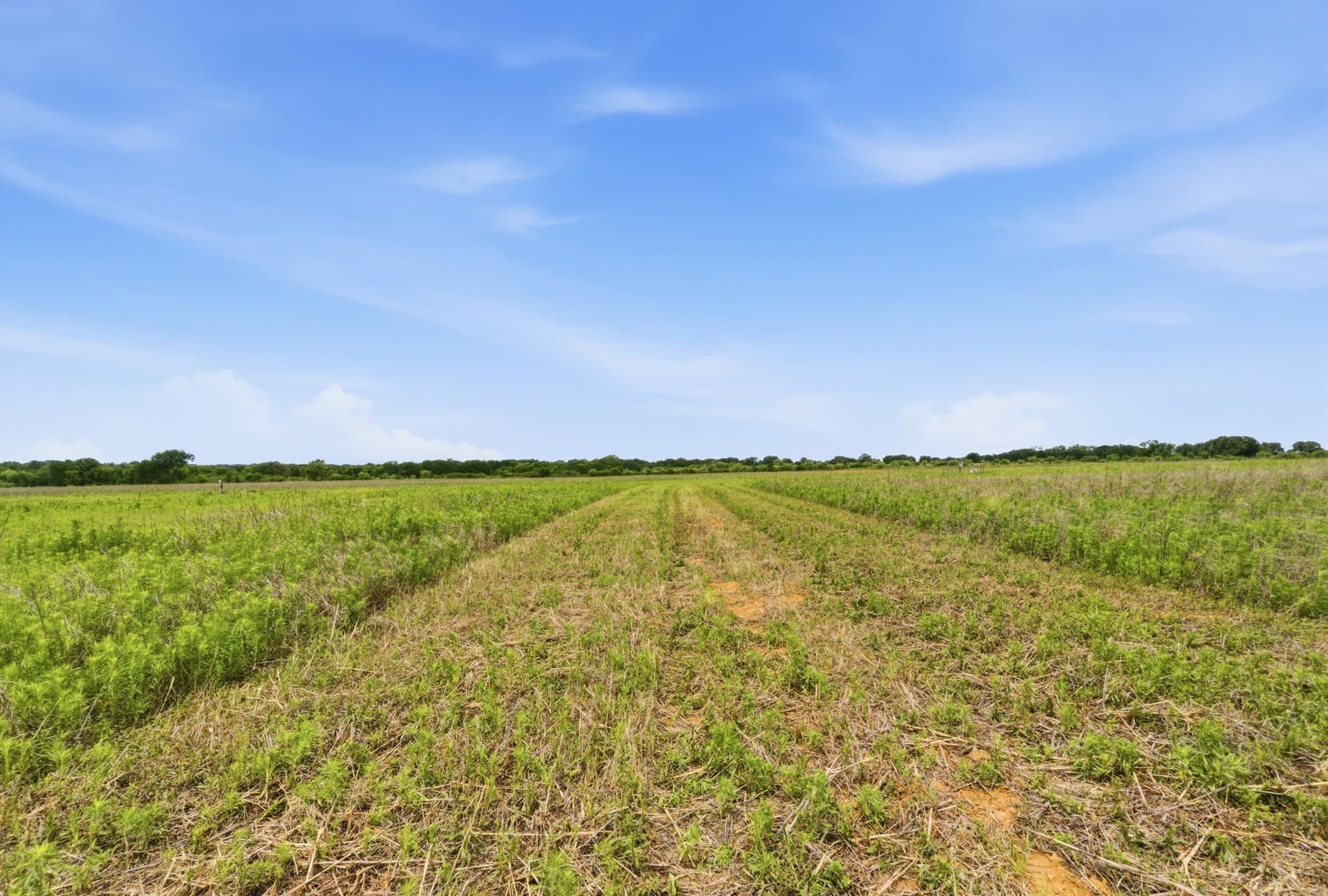 119.19 acres in Comanche County - photo 32