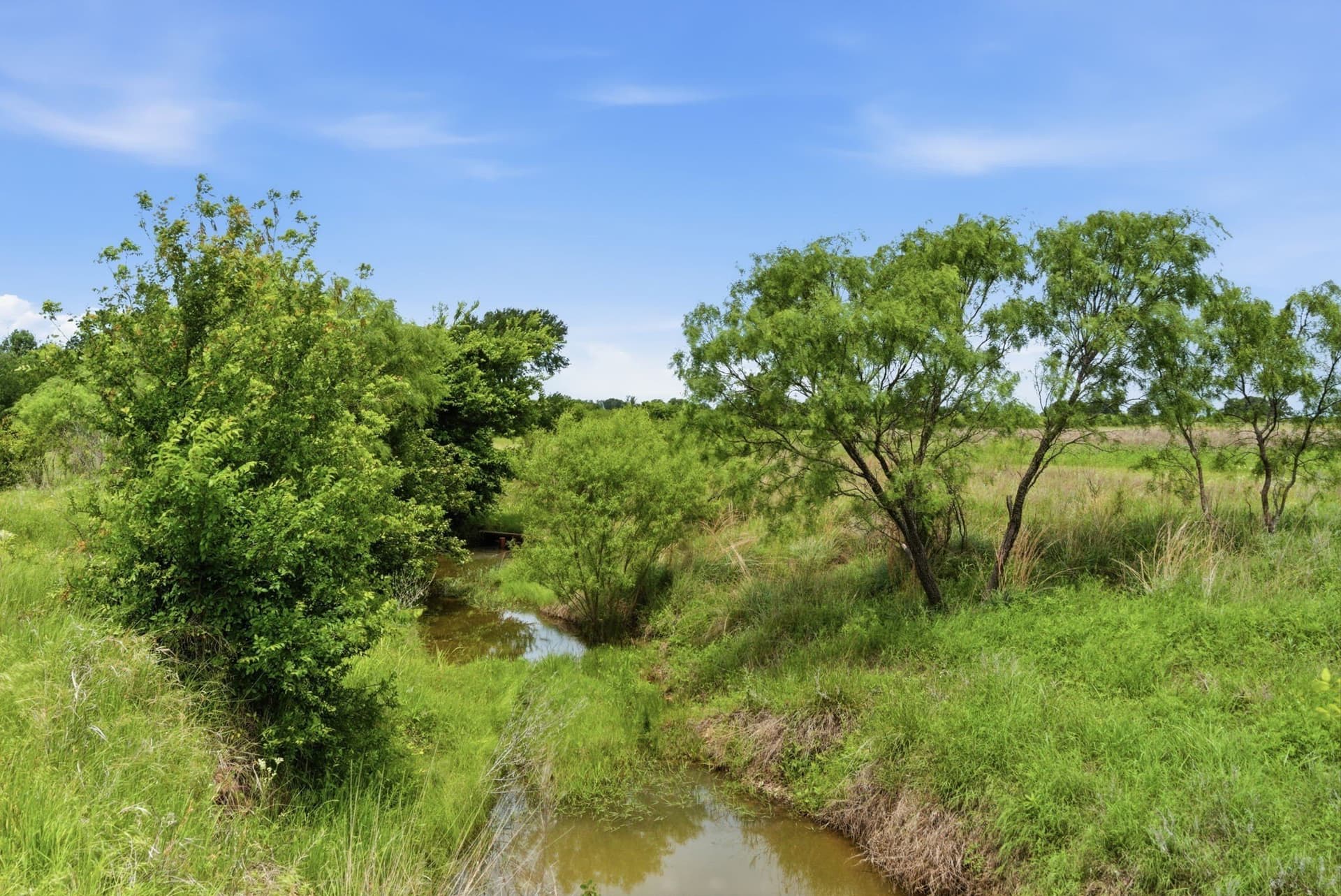 119.19 acres in Comanche County - photo 34