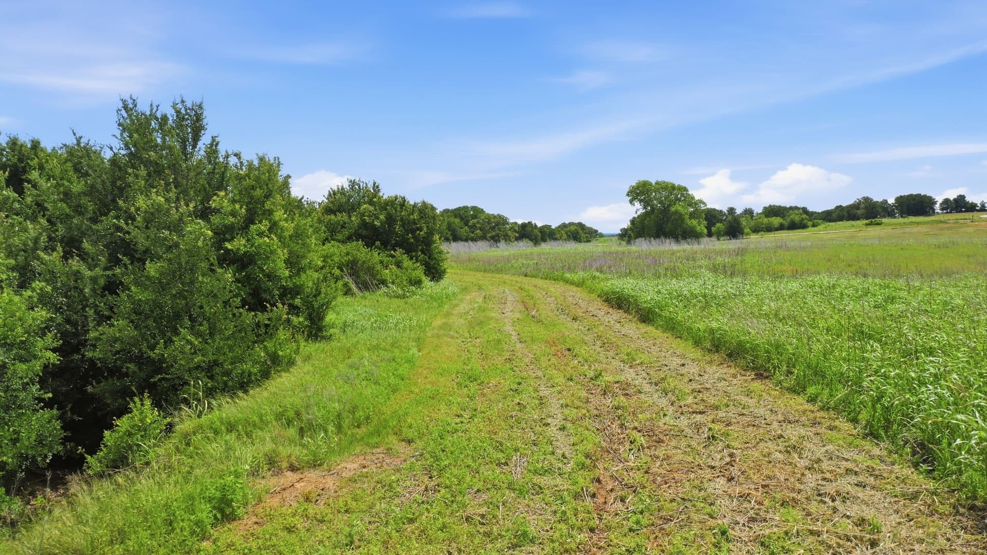 119.19 acres in Comanche County - photo 20