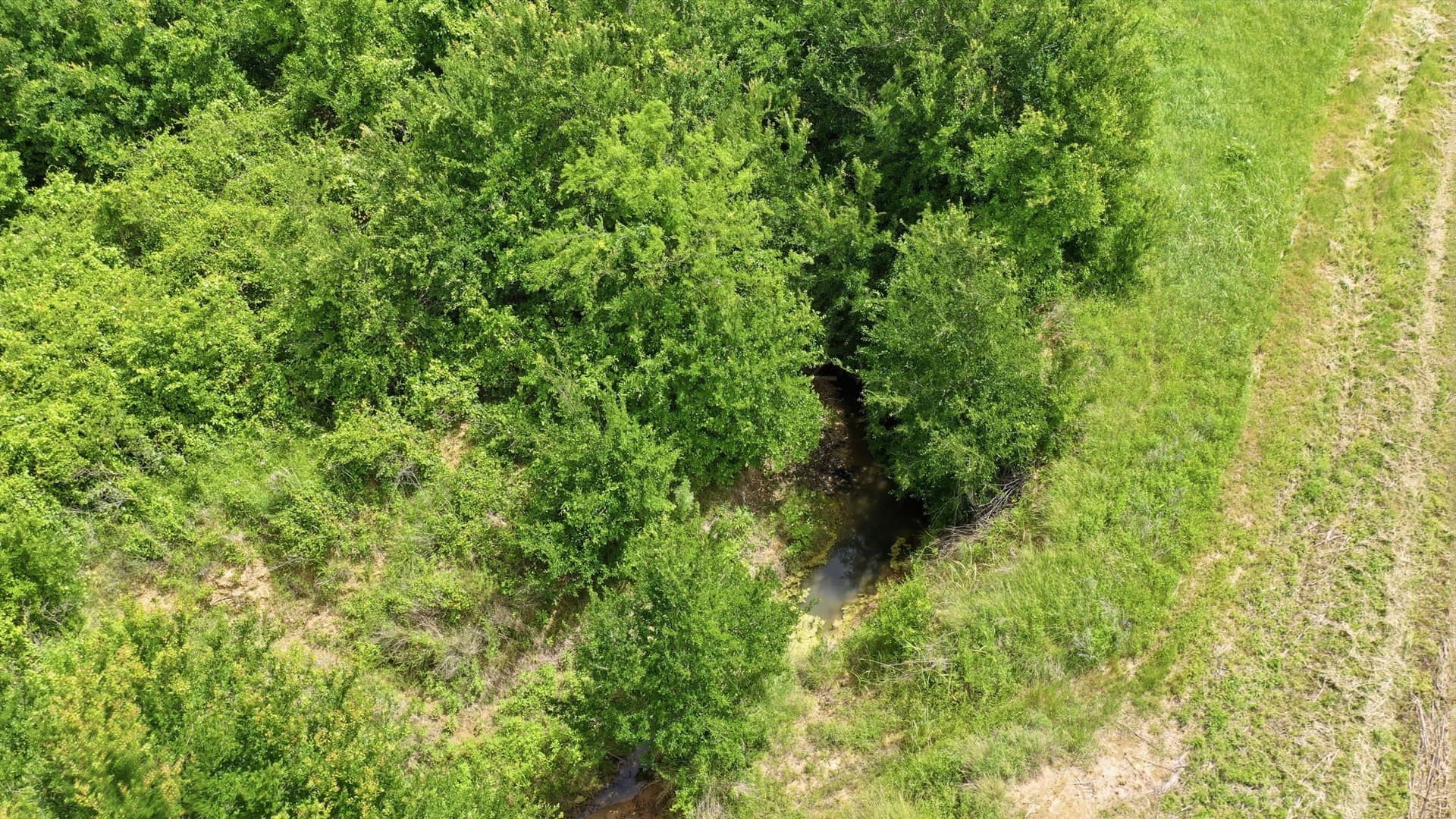 119.19 acres in Comanche County - photo 18
