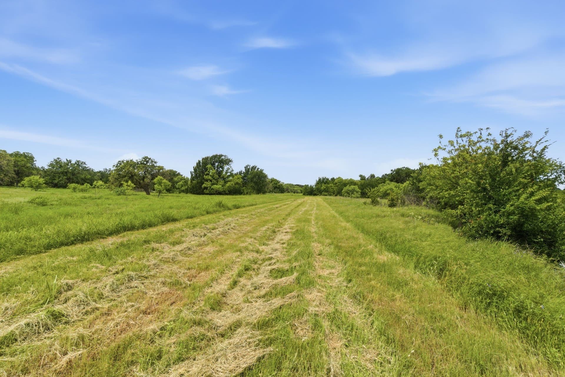 119.19 acres in Comanche County - photo 36