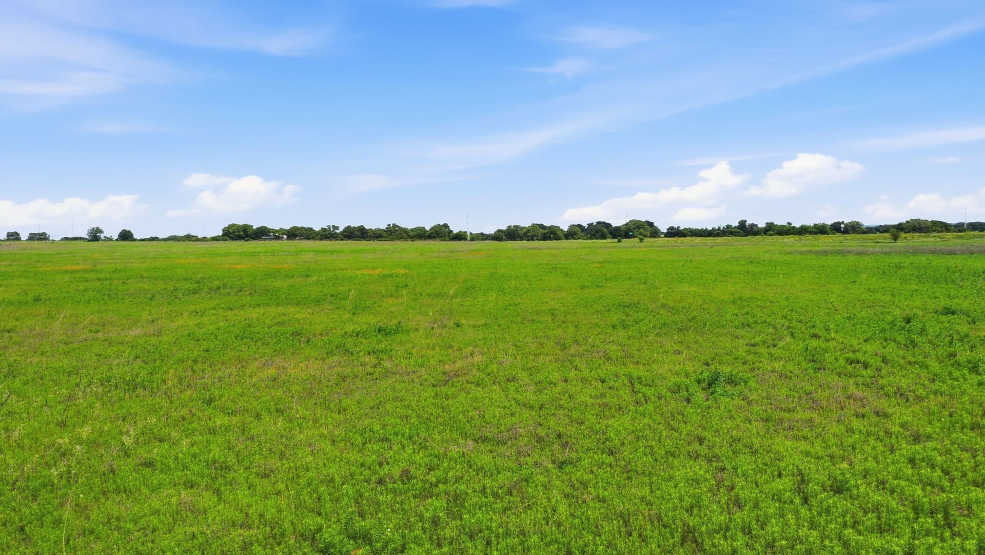 119.19 acres in Comanche County - photo 17