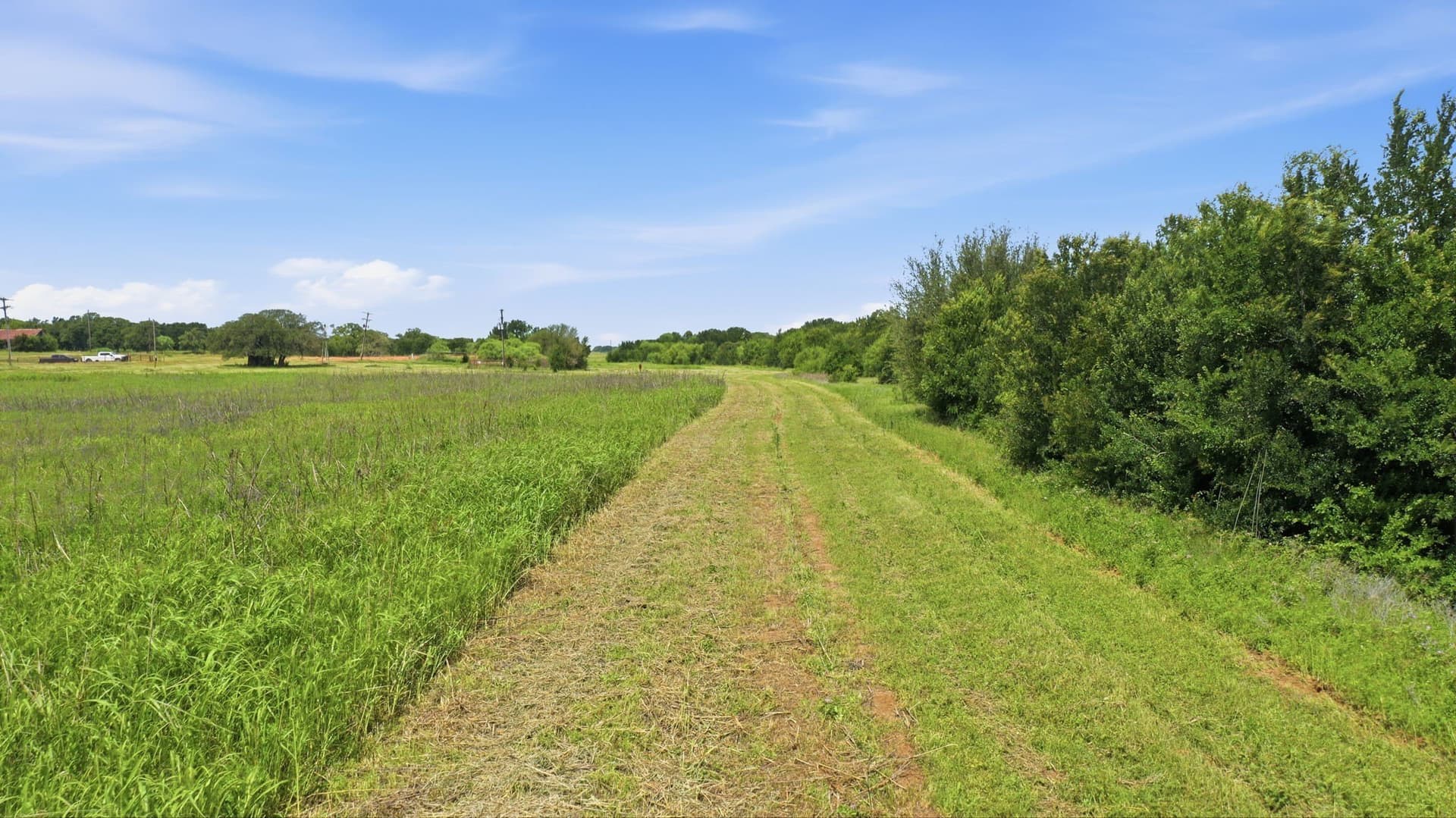 119.19 acres in Comanche County - photo 19
