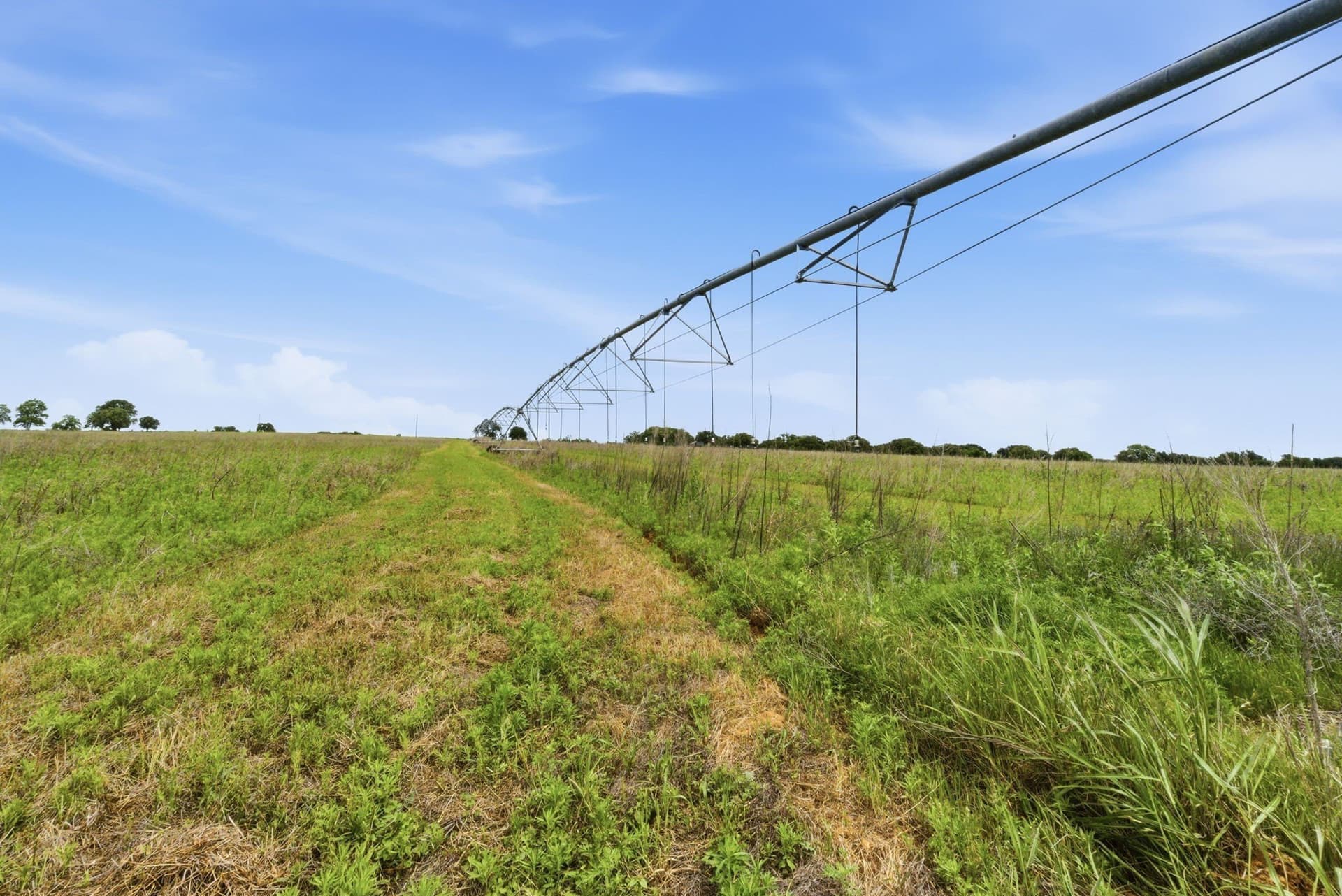 119.19 acres in Comanche County - photo 29