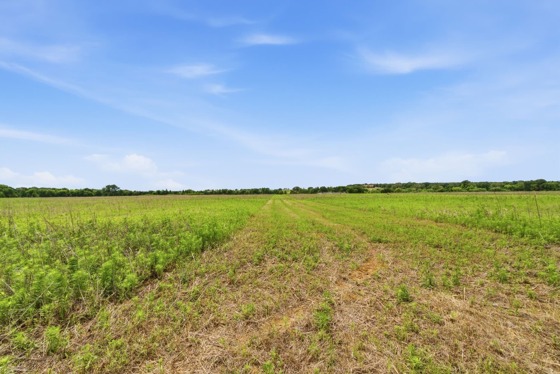 119.19 acres in Comanche County - photo 30