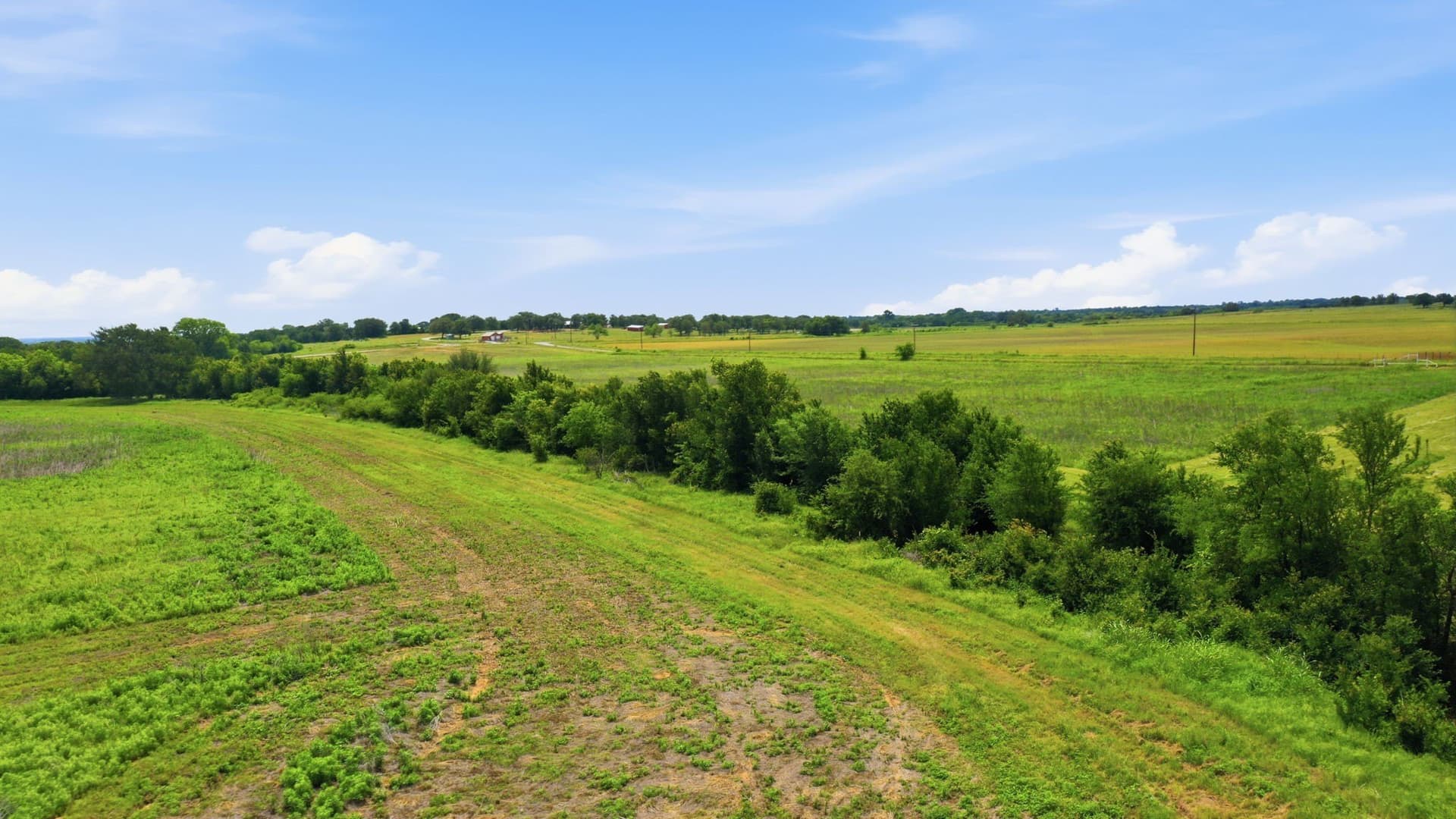 119.19 acres in Comanche County - photo 24