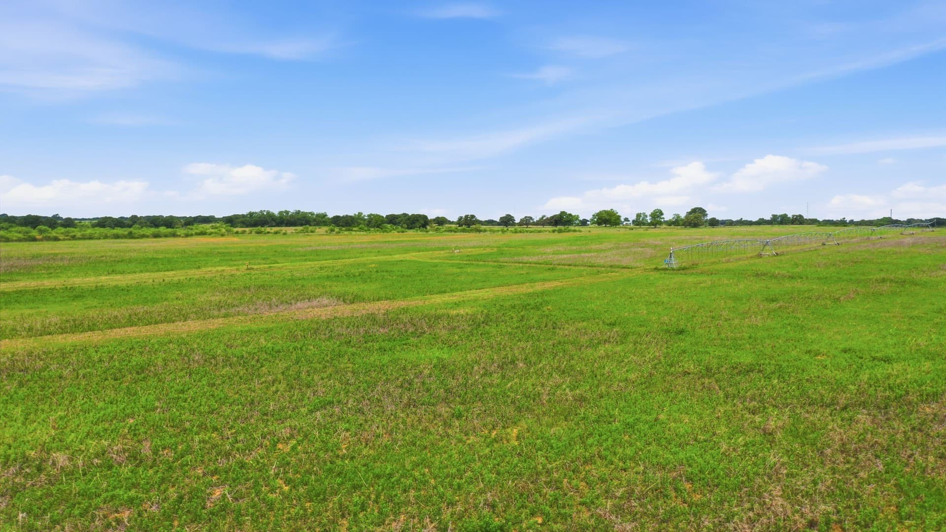 119.19 acres in Comanche County - photo 25