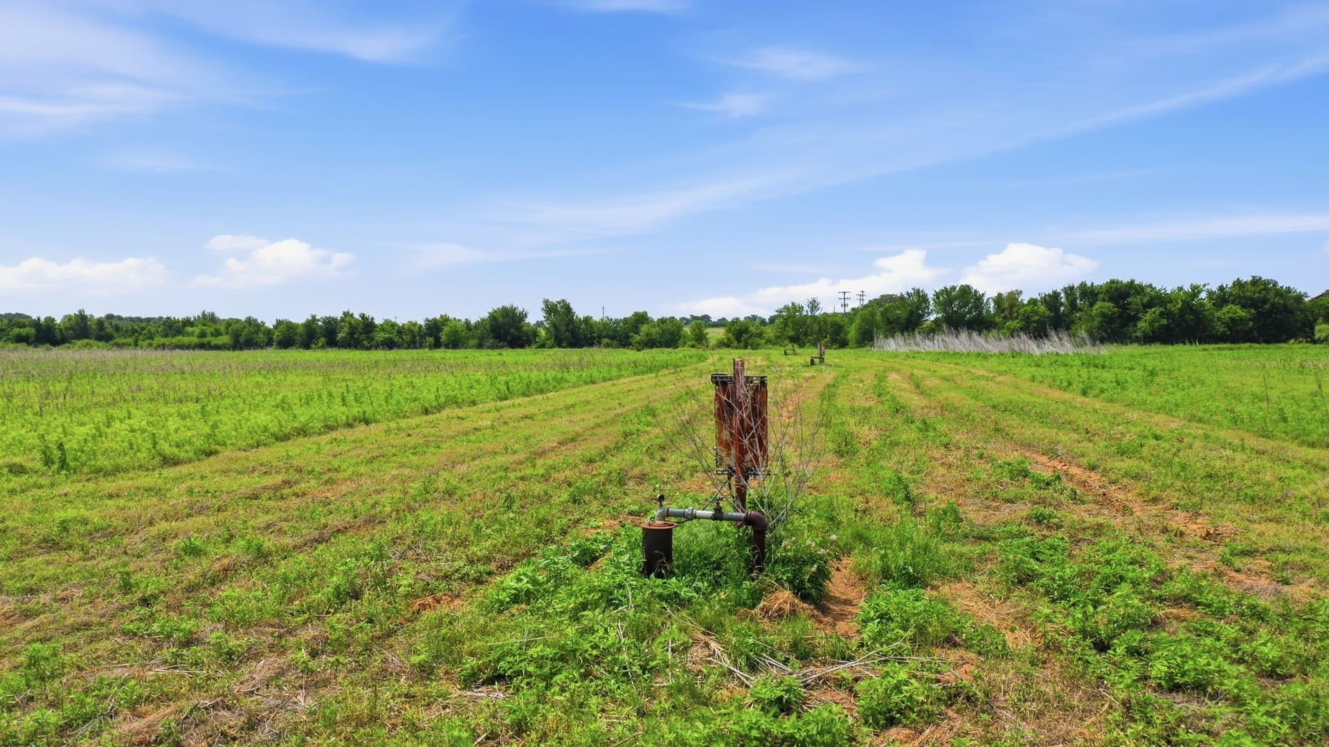 119.19 acres in Comanche County - photo 14