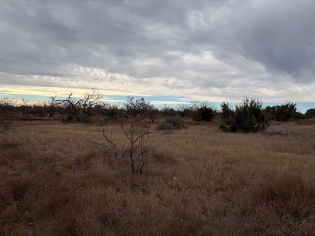 120 acres in Schleicher County - photo 13