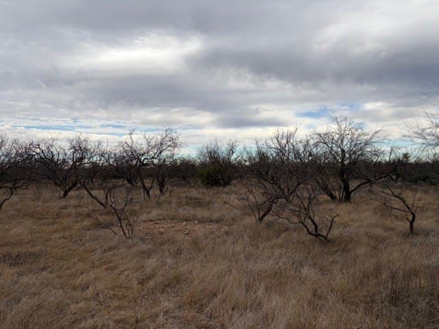 120 acres in Schleicher County - photo 14