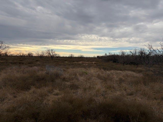 120 acres in Schleicher County - photo 12