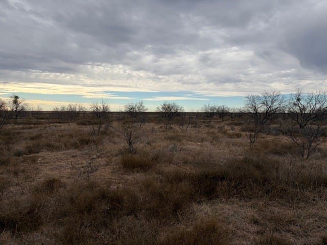 120 acres in Schleicher County - photo 11