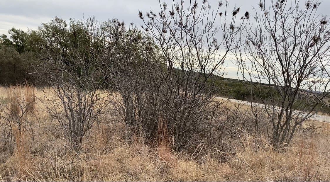 2.01 acres in Palo Pinto County gallery image 2