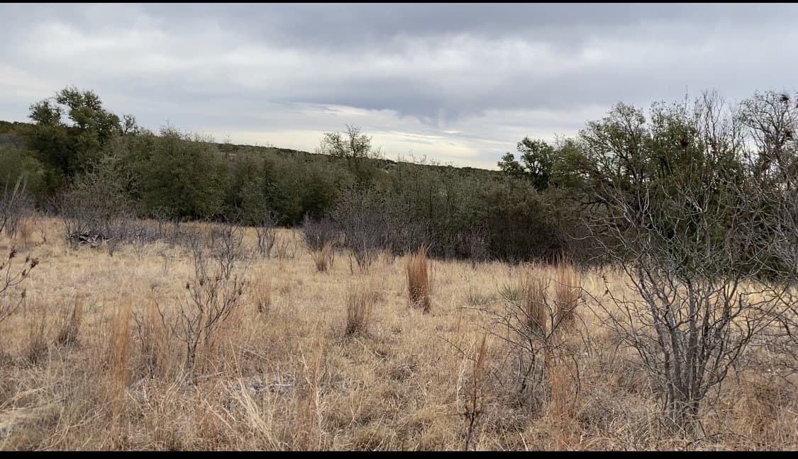 2.01 acres in Palo Pinto County featured view