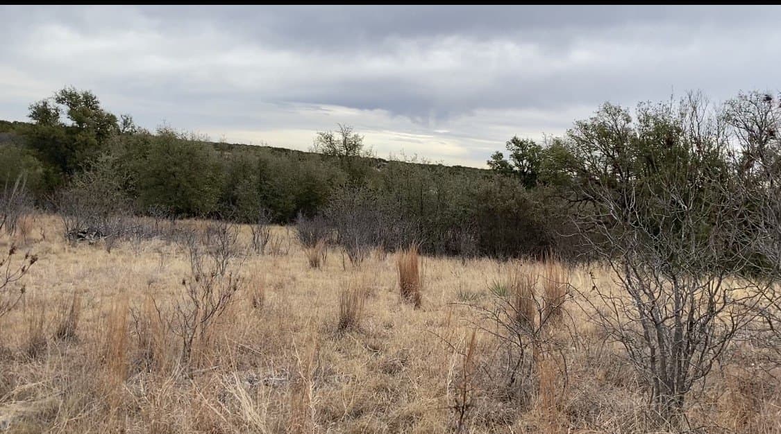 2.01 acres in Palo Pinto County gallery image 3