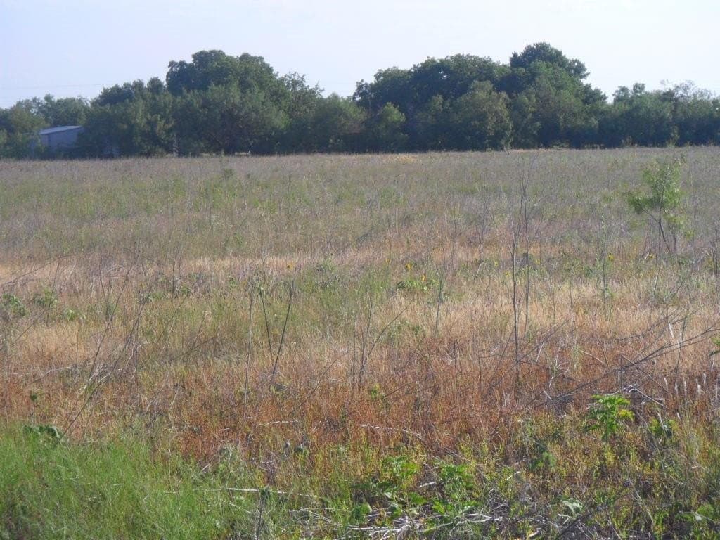 20.6 acres in Taylor County