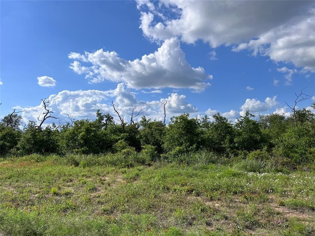 1.24 acres in Callahan County gallery image 3