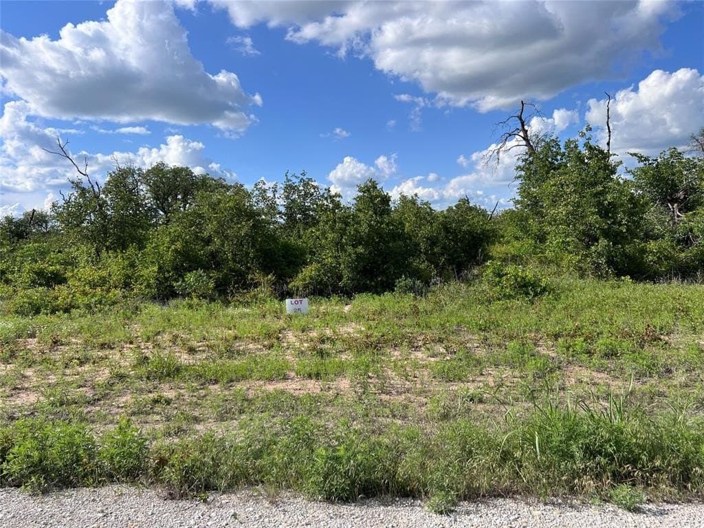 1.24 acres in Callahan County gallery image 2