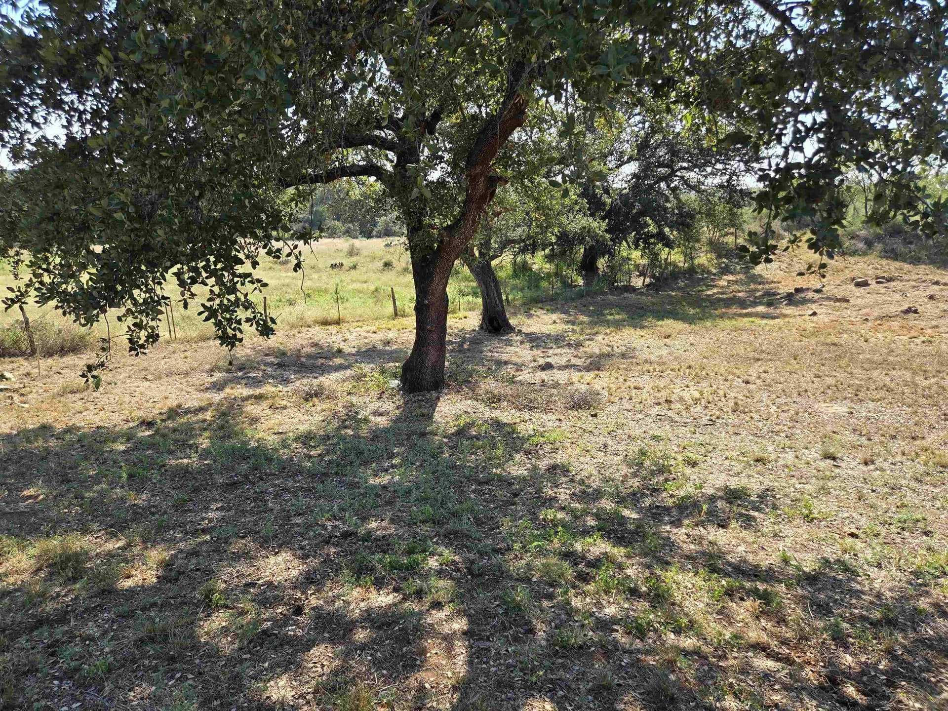 0.8 acres in Llano County - photo 9