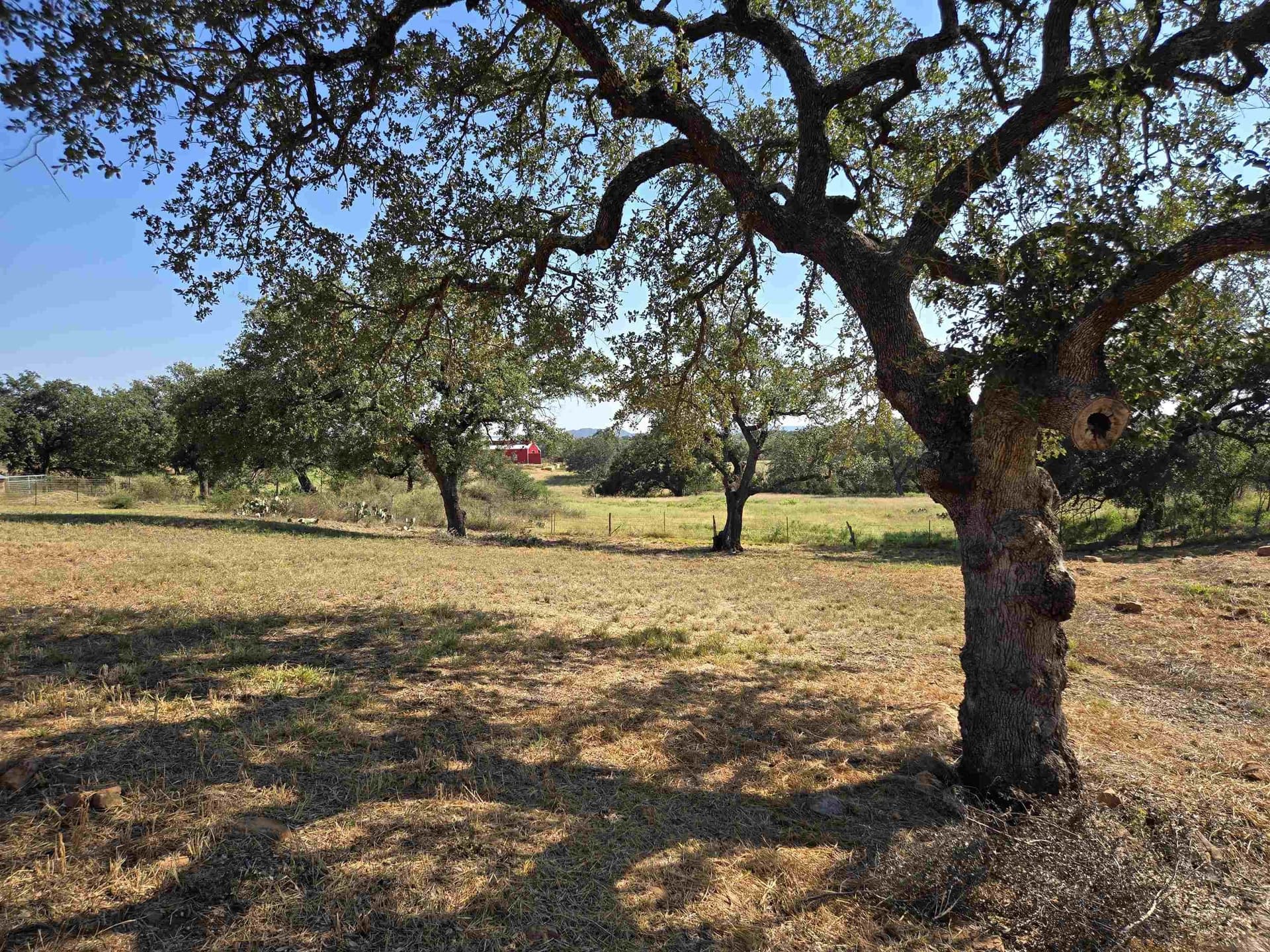 0.8 acres in Llano County - photo 13