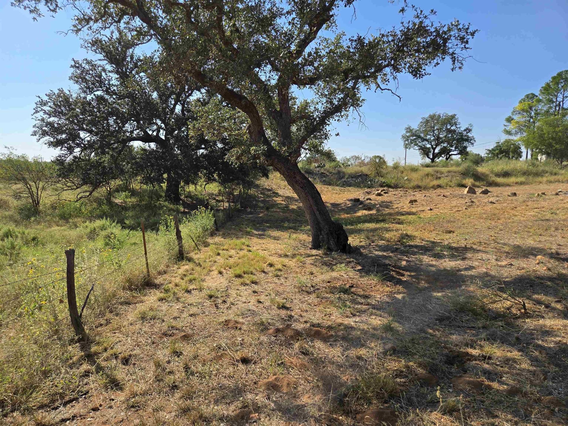 0.8 acres in Llano County - photo 16