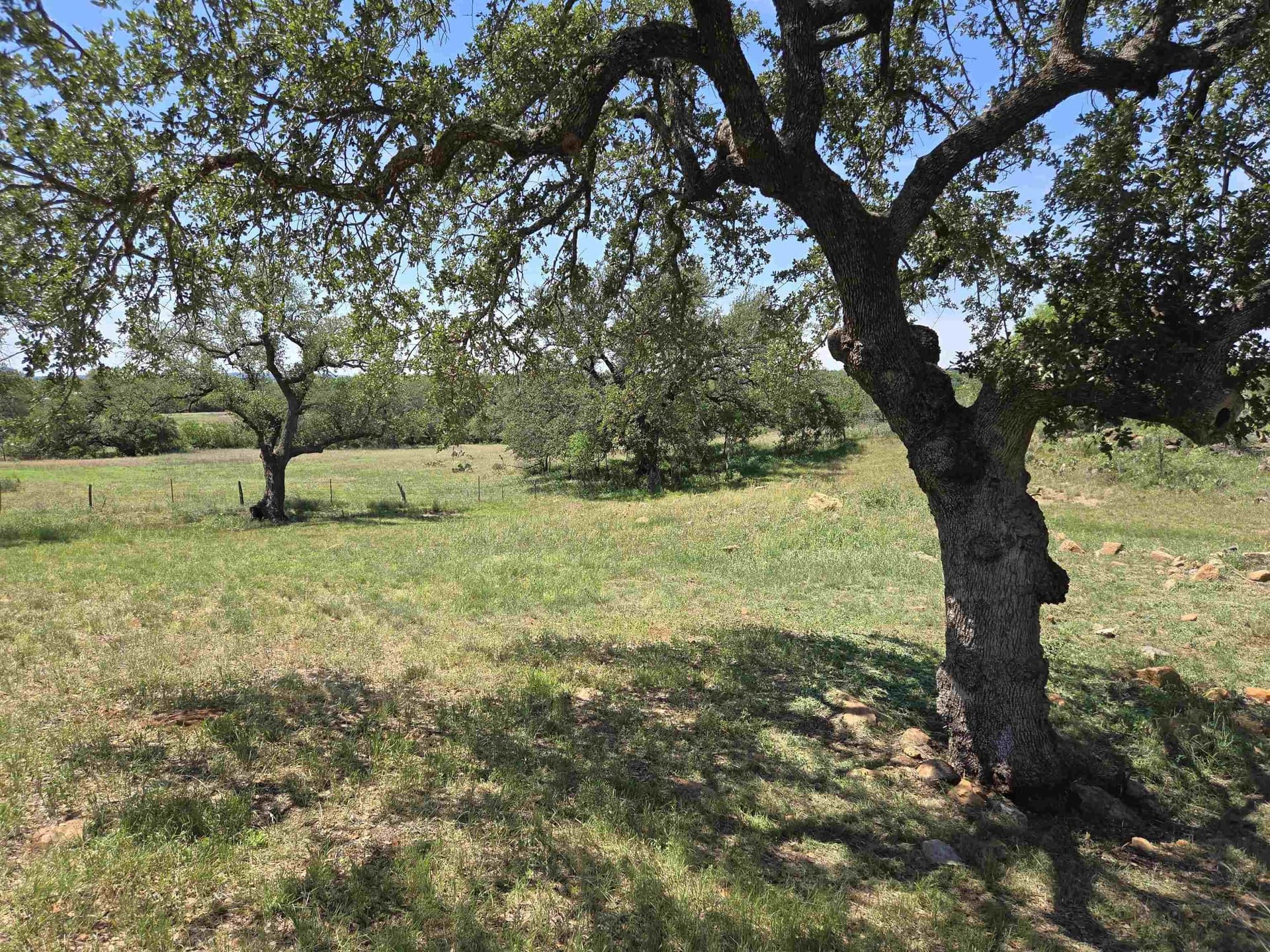 0.8 acres in Llano County - photo 8
