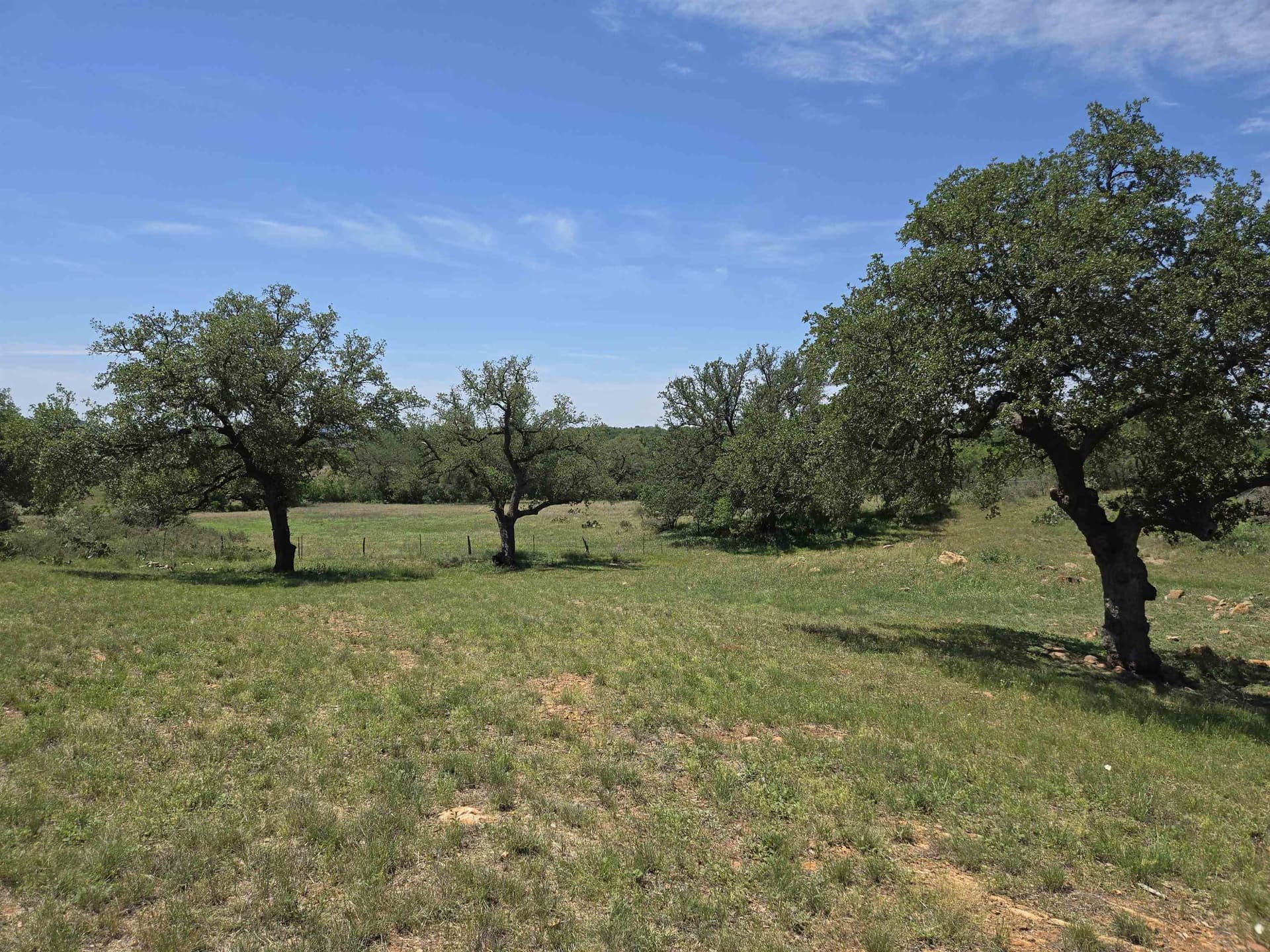 0.8 acres in Llano County - photo 6