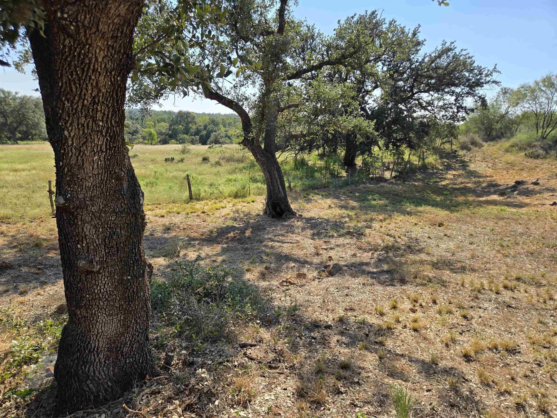 0.8 acres in Llano County - photo 17