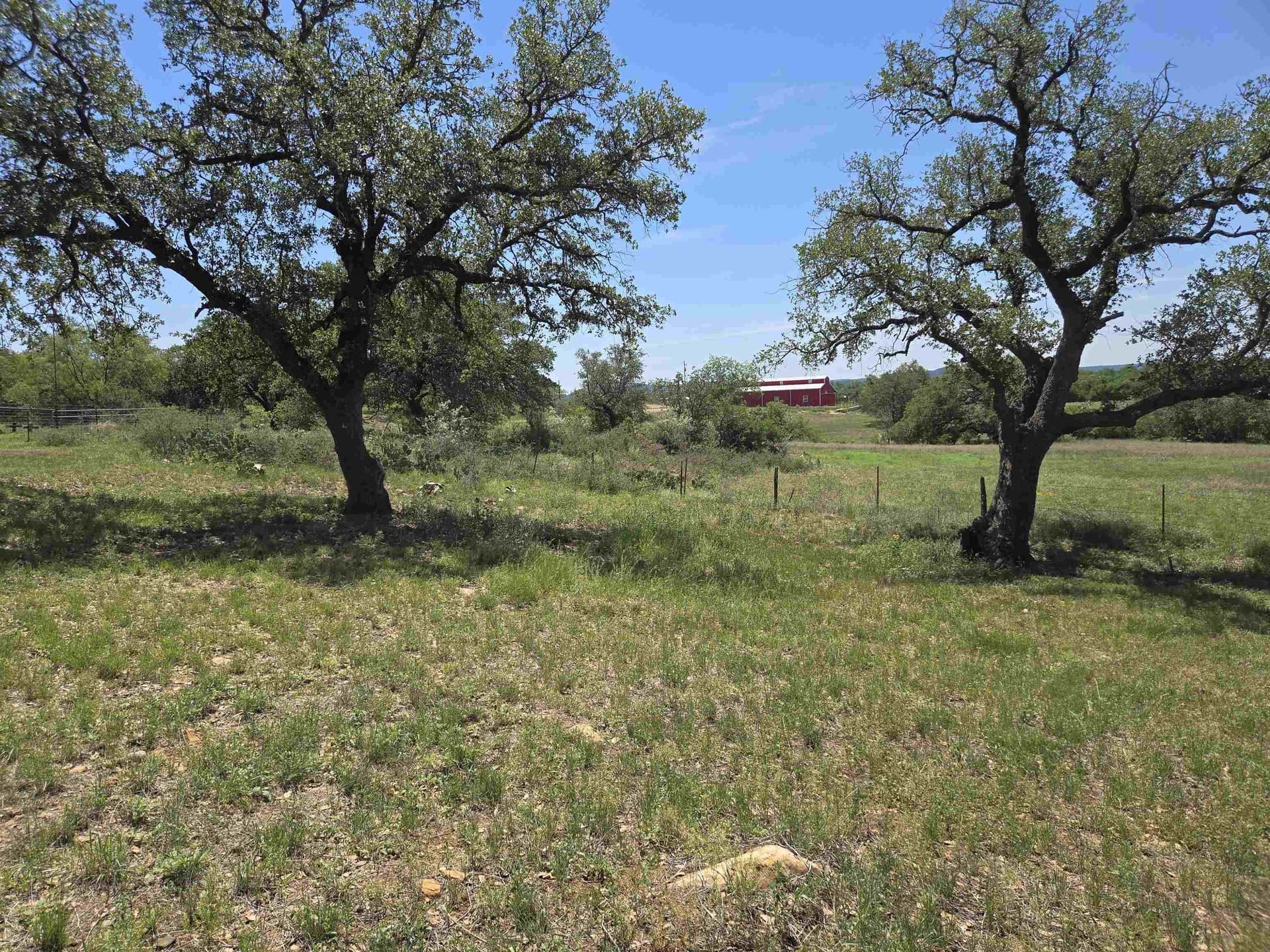 0.8 acres in Llano County gallery image 2
