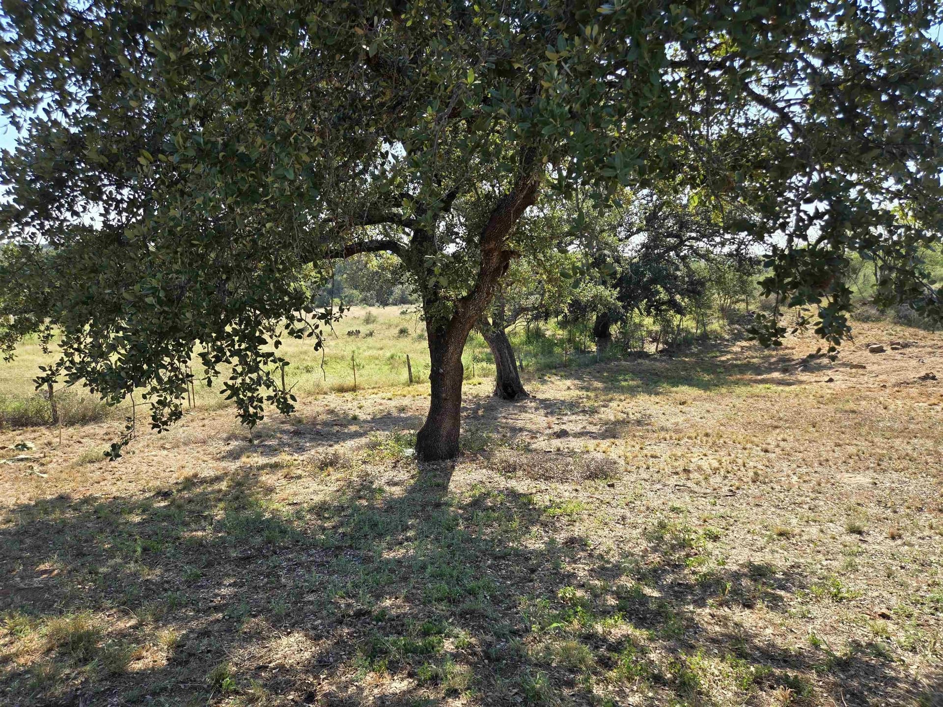 0.8 acres in Llano County - photo 18