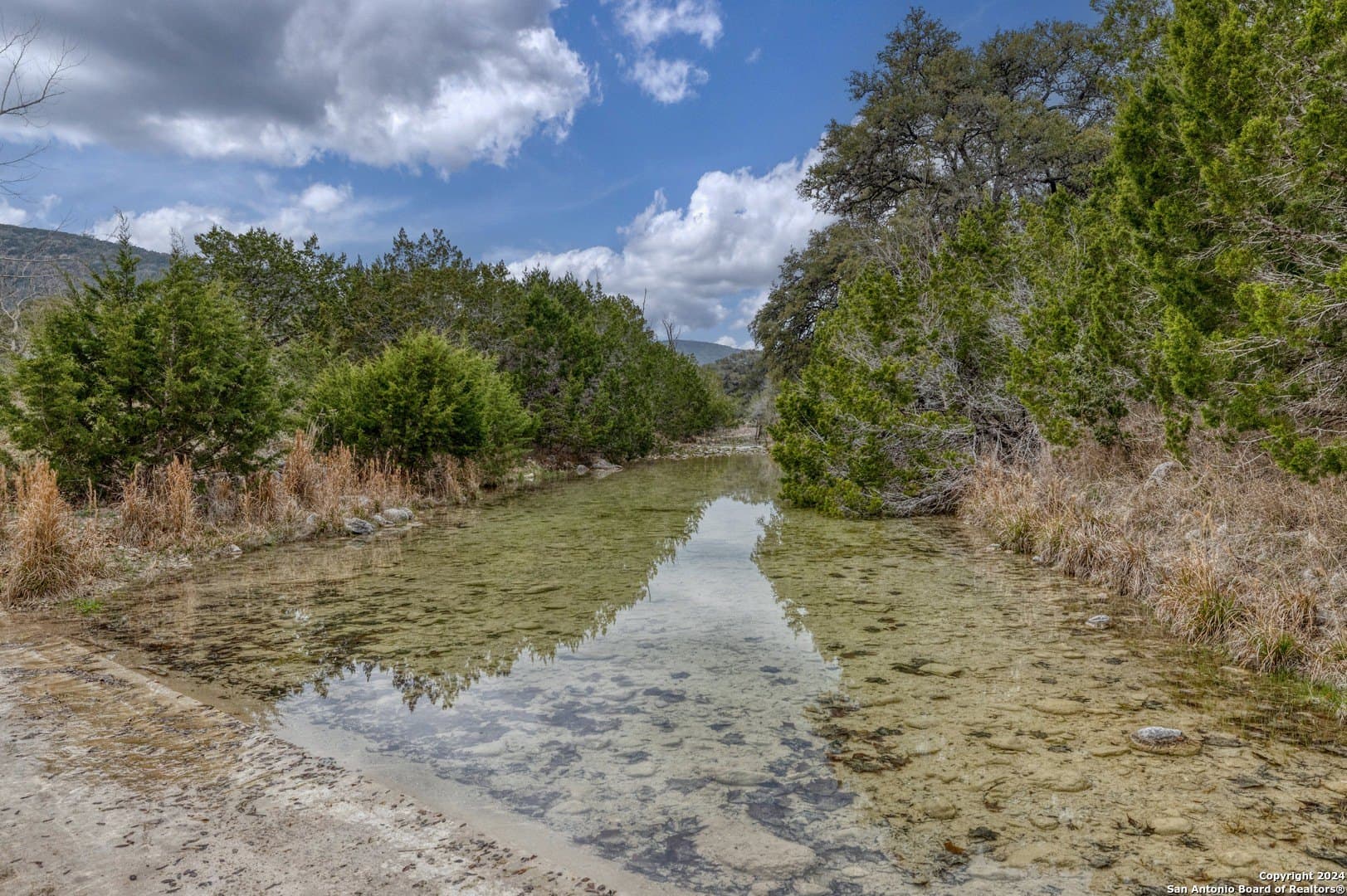 49.56 acres in Real County gallery image 4