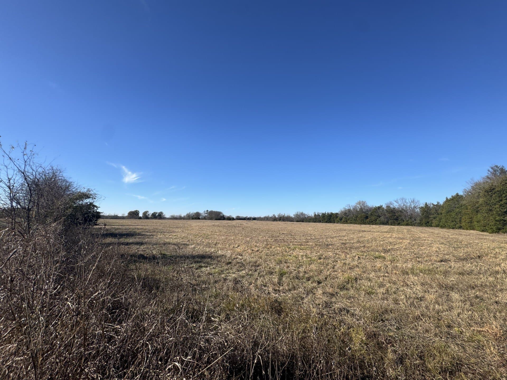 10 acres in Lamar County - photo 6