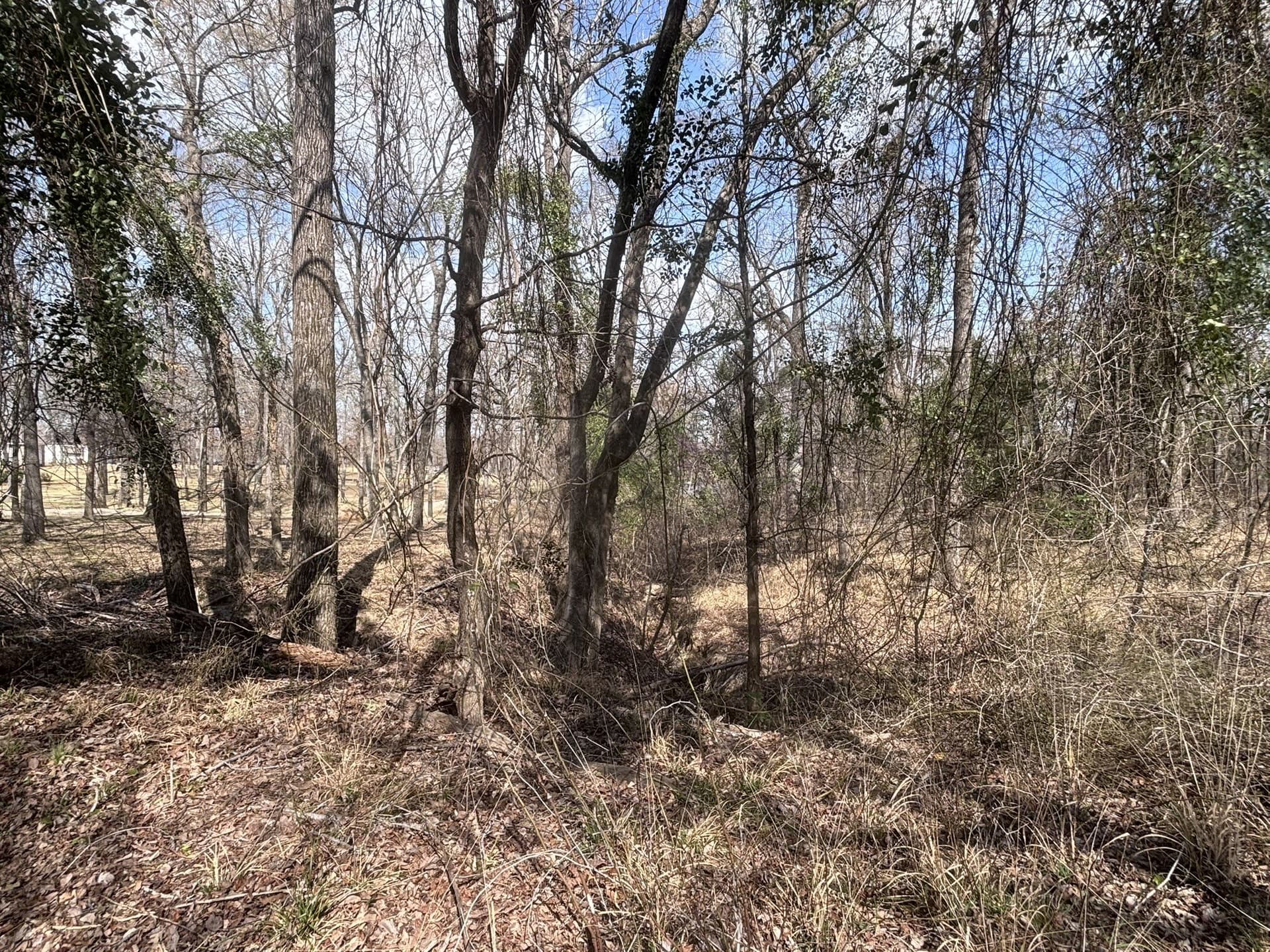 0.52 acres in Wood County - photo 7