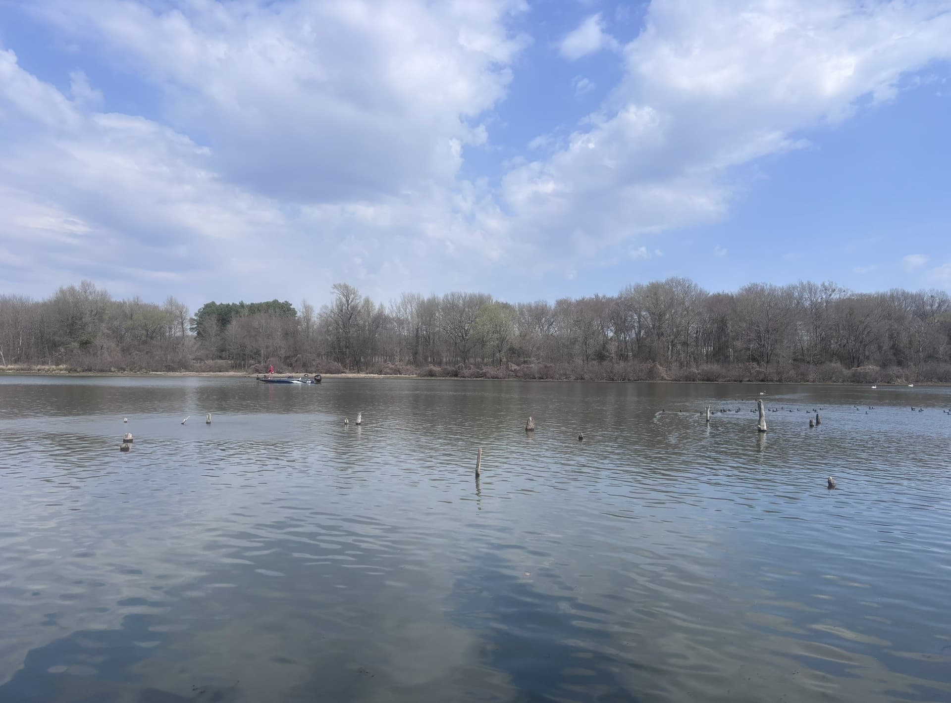 0.52 acres in Wood County - photo 17