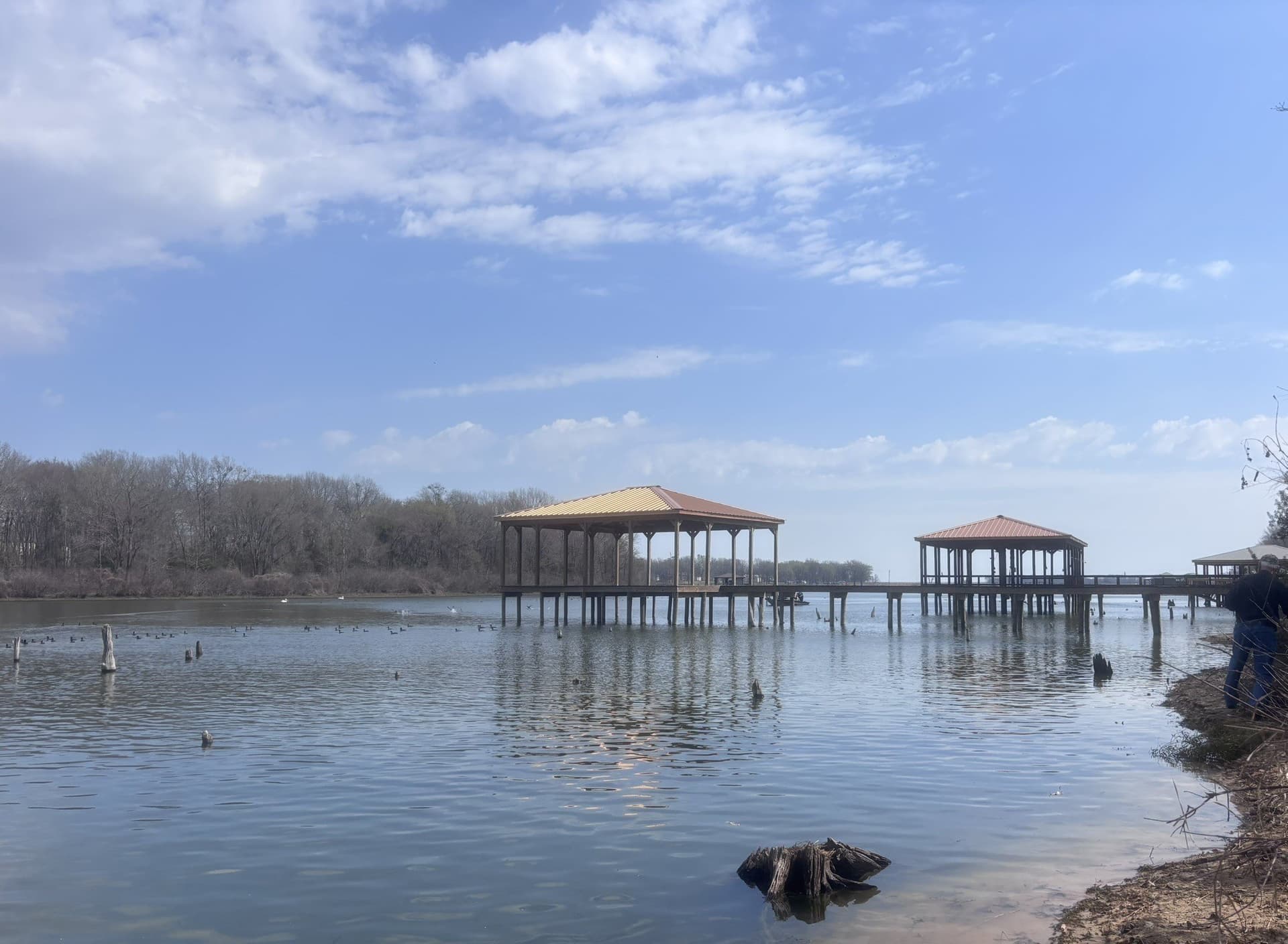 0.52 acres in Wood County - photo 18