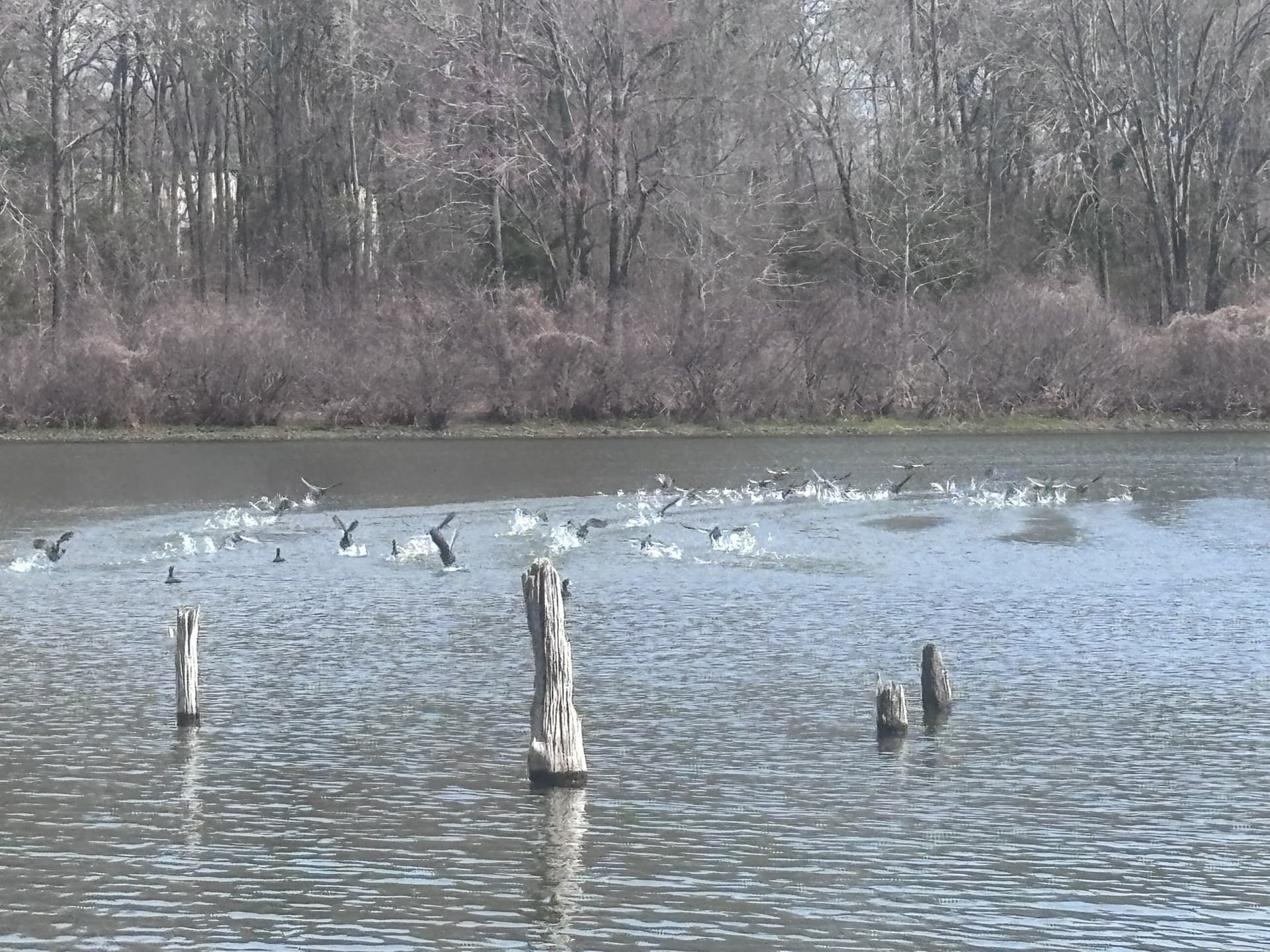 0.52 acres in Wood County - photo 21