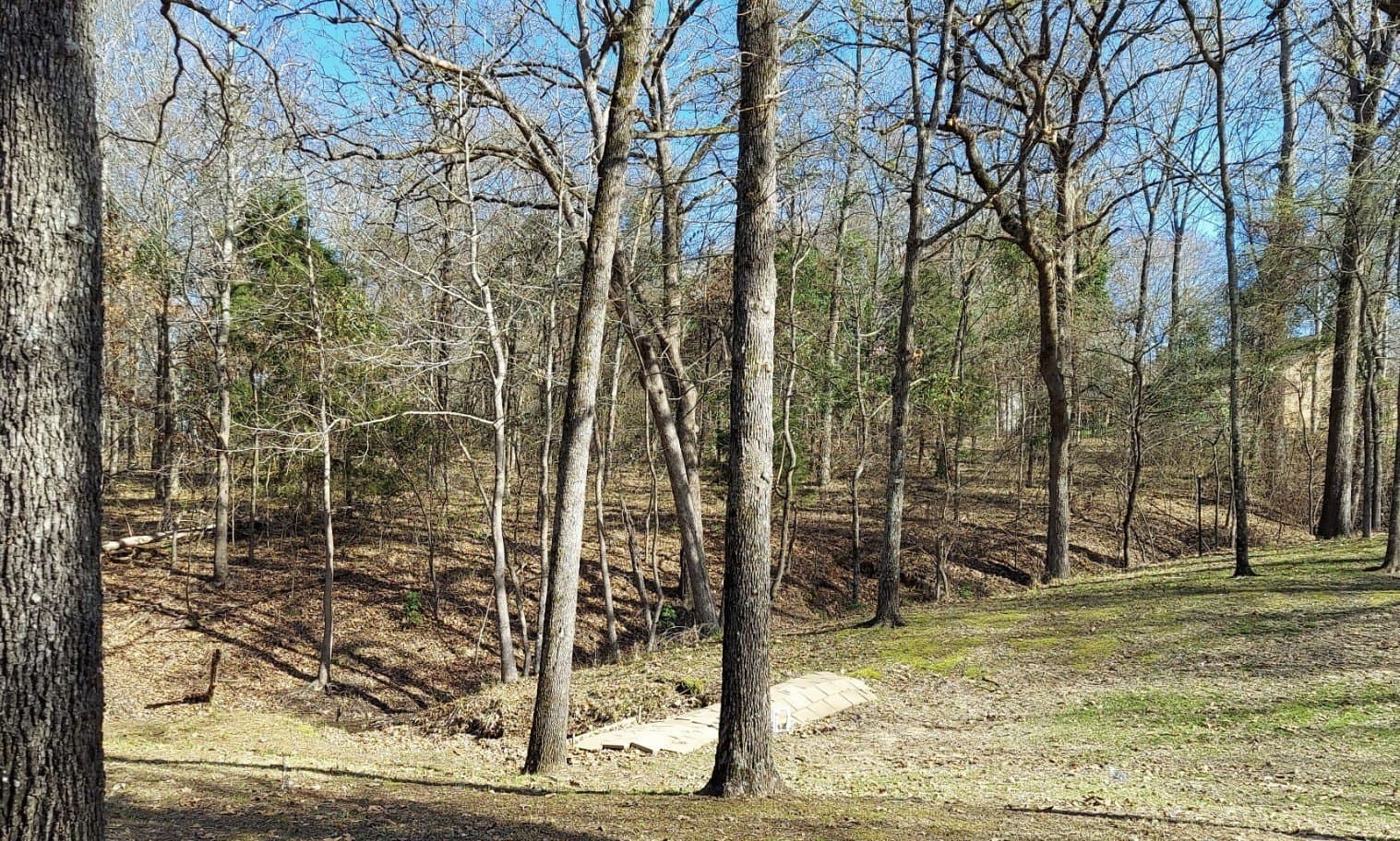 0.52 acres in Wood County gallery image 3