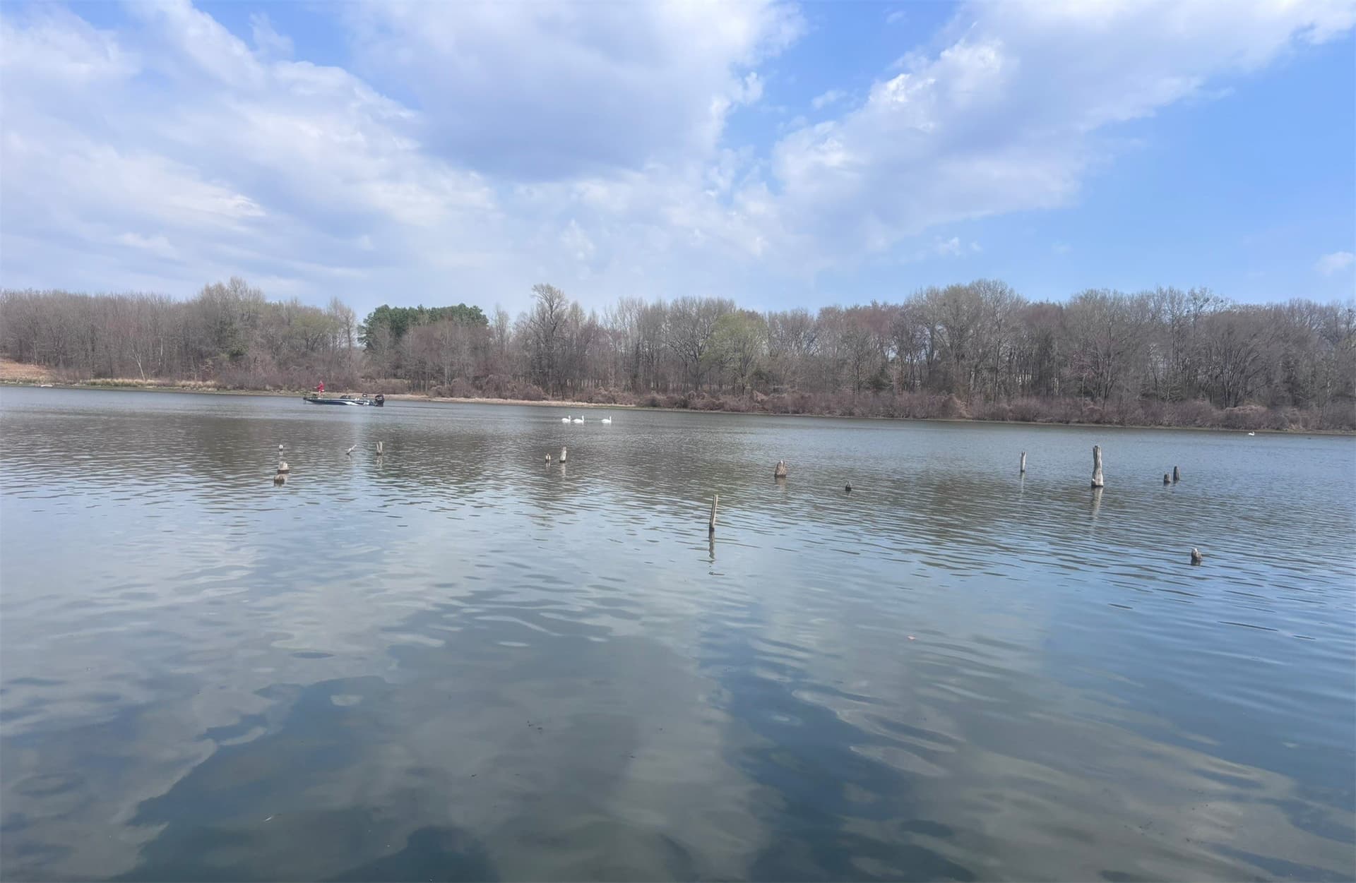 0.52 acres in Wood County - photo 23